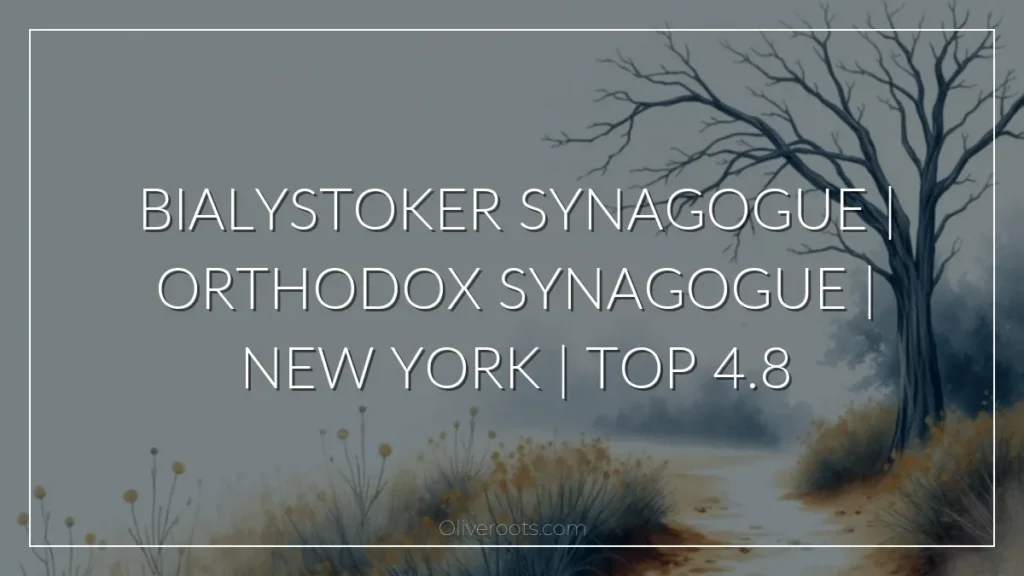Bialystoker Synagogue | Orthodox synagogue | New York | Top 4.8